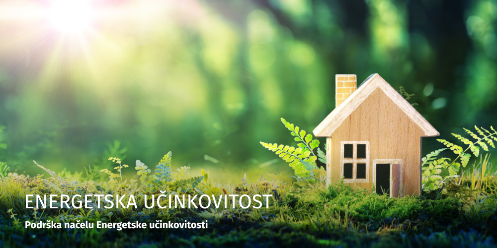 Energetska učinkovitost